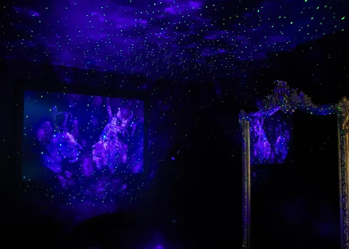 فندق مبيت وإفطار L'insoupconnee نانت