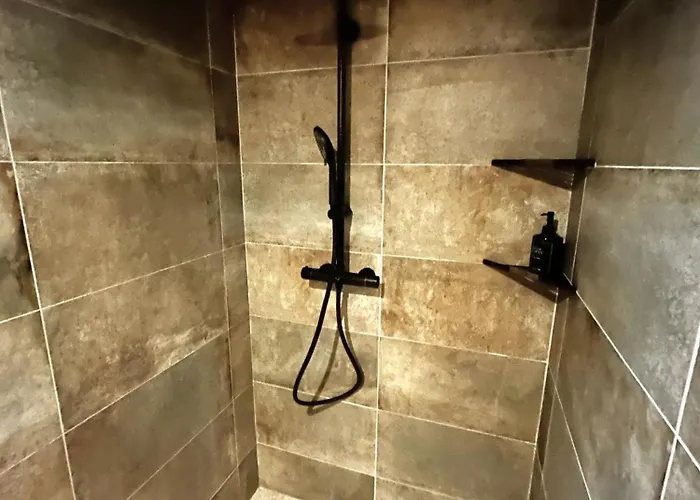 L'insoupconnee 4* Nantes