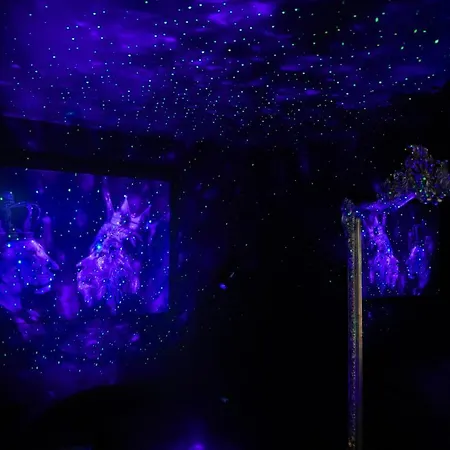 فندق مبيت وإفطار L'insoupconnee نانت